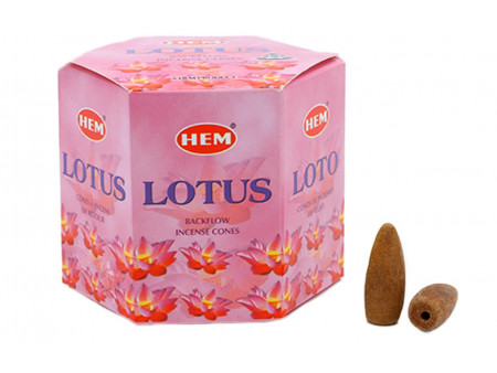 Backflow Cônes HEM Lotus pas cher / Le Numéro 1