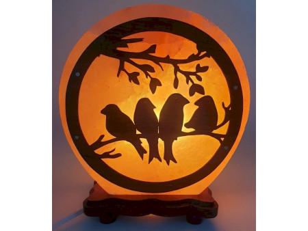 Lampe de Sel Oiseaux 5KG Pas Cher | Livraison Rapide