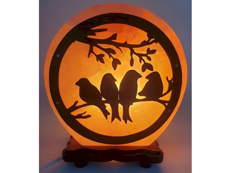 Lampe de Sel Oiseaux 5KG Pas Cher | Livraison Rapide