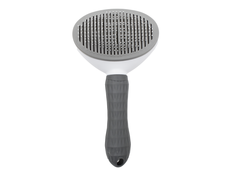 Brosse pour chien - Grise Pas Cher | Livraison Rapide