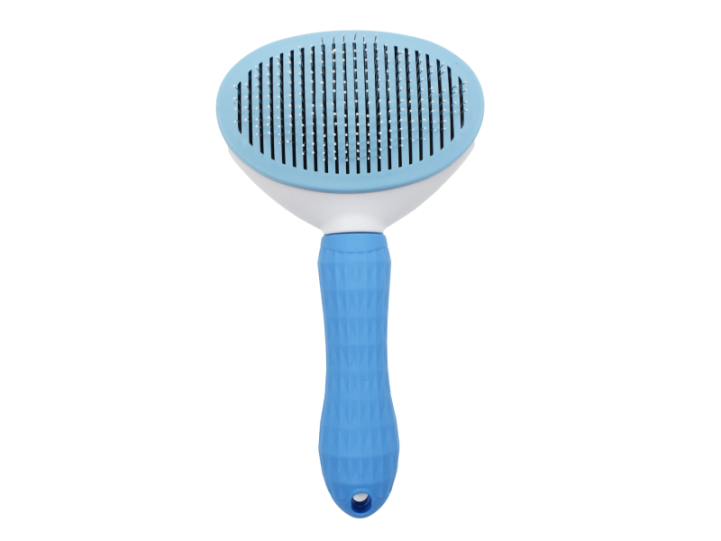 Brosse pour chien - Bleue Pas Cher | Livraison Rapide