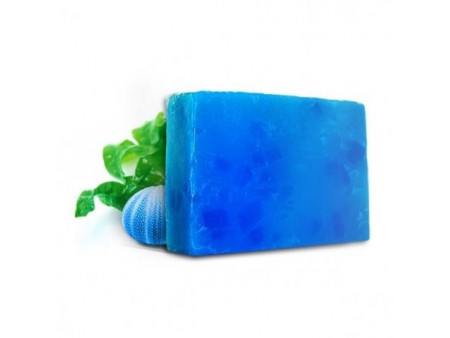 Savon SAF fait à la main - Algues 100gr Pas Cher