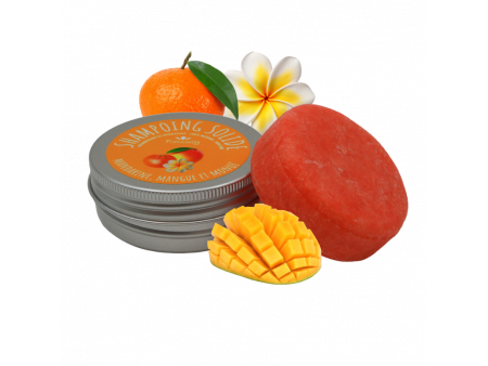 Shampoing solide - Nourrissant, hydratant 58gr Pas Cher