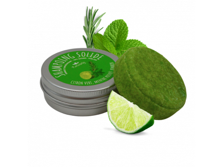 Shampoing solide - Frais et tonique 58gr Pas Cher