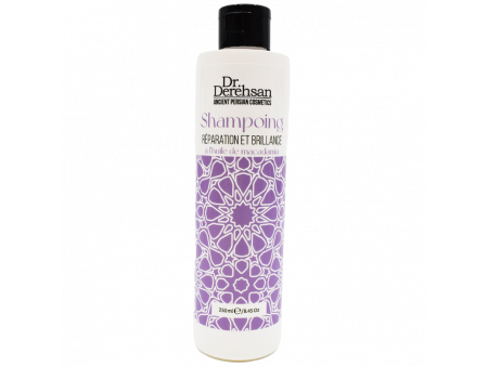 Shampoing réparation et brillance 250ml Pas Cher