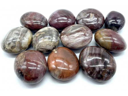 Bois Fossile ‘A’ Galets Roulés 1 KG – Pierre d’Ancrage & Stabilité