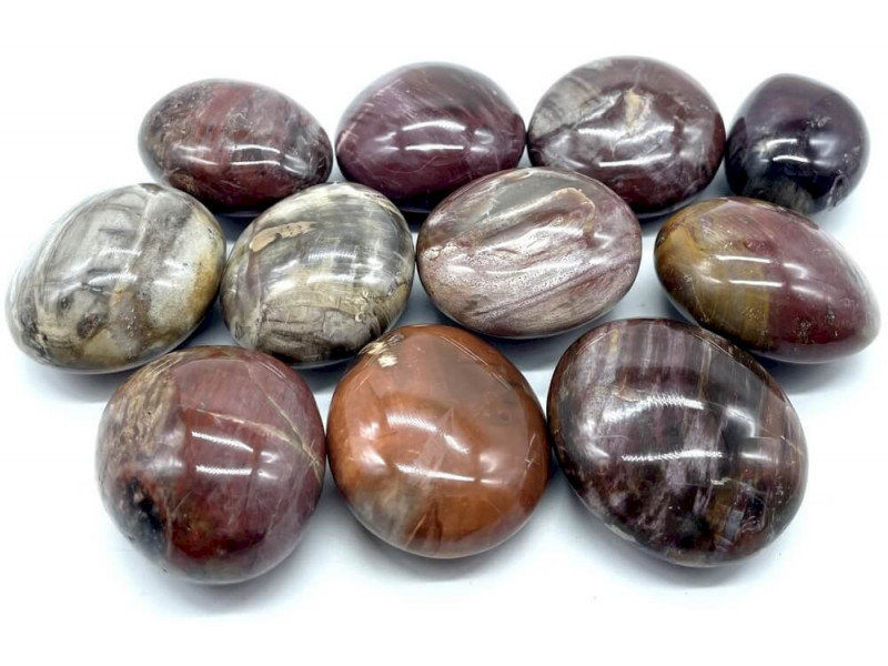 Bois Fossile ‘A’ Galets Roulés 1 KG – Pierre d’Ancrage & Stabilité