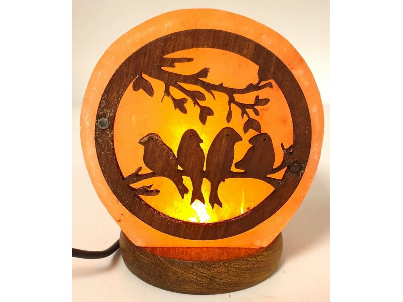 Mini Lampe de Sel Oiseaux  Pas Cher - Paiement Sécurisé