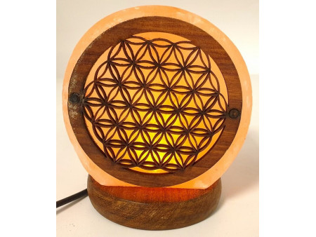Mini Lampe de Sel Fleur de Vie Pas Cher - Paiement Sécurisé