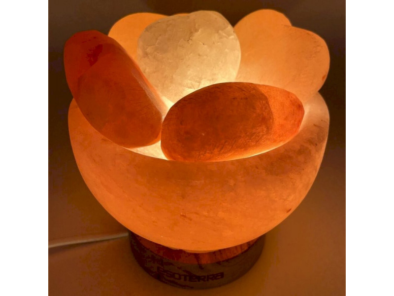 Lampe de Sel  Bol & Cœurs Pas Cher - Paiement Sécurisé