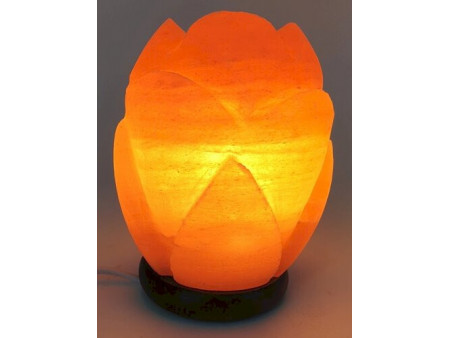 Lampe de Sel Himalaya Tulipe Pas Cher - Paiement Sécurisé