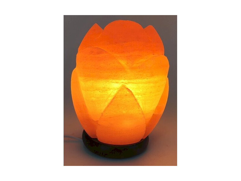 Lampe de Sel Himalaya Tulipe Pas Cher - Paiement Sécurisé