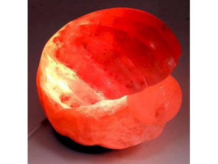 Lampe de Sel Himalaya Coquillage Pas Cher - Paiement Sécurisé