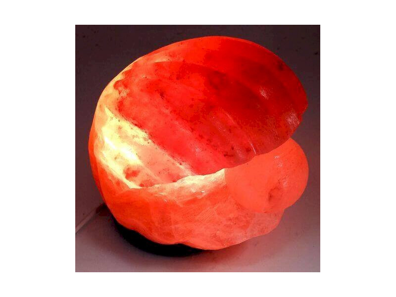 Lampe de Sel Himalaya Coquillage Pas Cher - Paiement Sécurisé