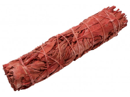 Sauge Sang de Dragon 15cm Pas Cher - Paiement Sécurisé