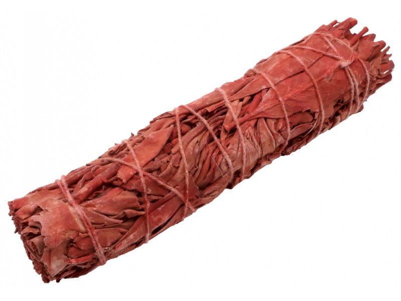 Sauge Sang de Dragon 15cm Pas Cher - Paiement Sécurisé