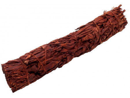 Sauge Sang de Dragon 23cm Pas Cher - Paiement Sécurisé