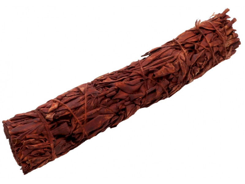 Sauge Sang de Dragon 23cm Pas Cher - Paiement Sécurisé