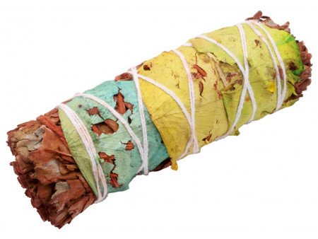 Sauge Sang de Dragon Florale 10cm Pas Cher - Paiement Sécurisé