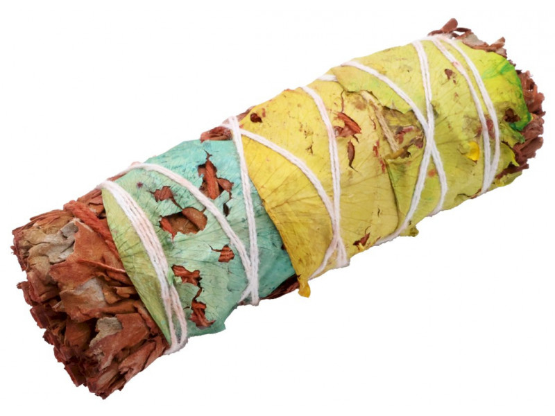 Sauge Sang de Dragon Florale 10cm Pas Cher - Paiement Sécurisé