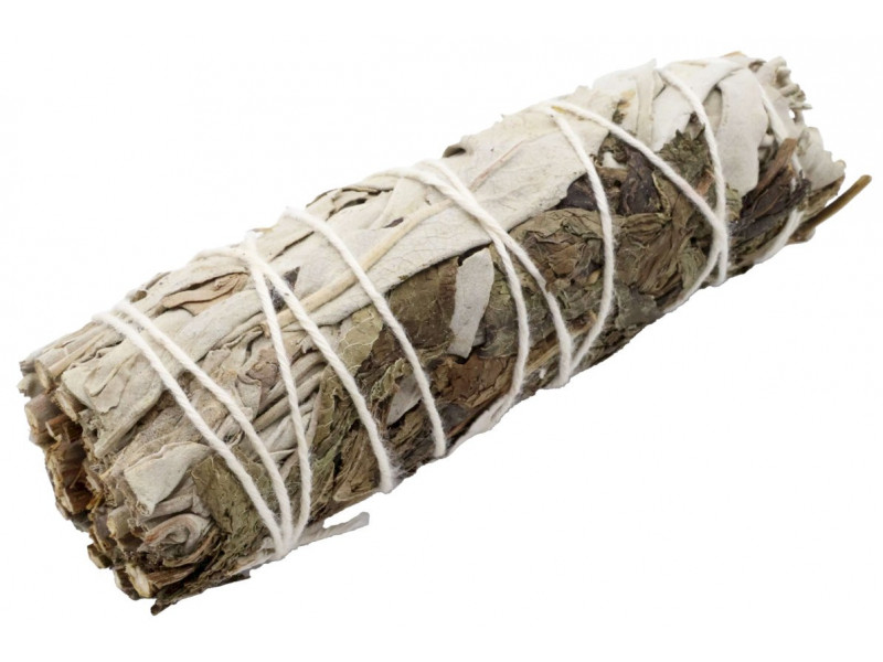 Sauge Blanche & Menthe 10cm Pas Cher - Paiement Sécurisé