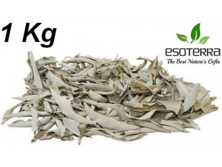 Sauge Blanche Californie 1KG Pas Cher - Paiement Sécurisé