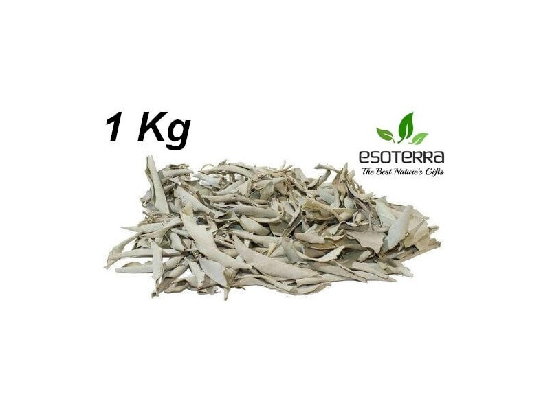 Sauge Blanche Californie 1KG Pas Cher - Paiement Sécurisé