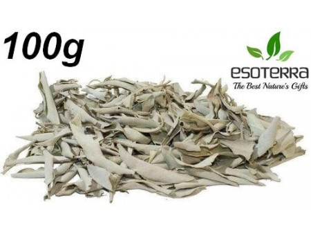 Sauge Blanche Californie 100G Pas Cher - Paiement Sécurisé