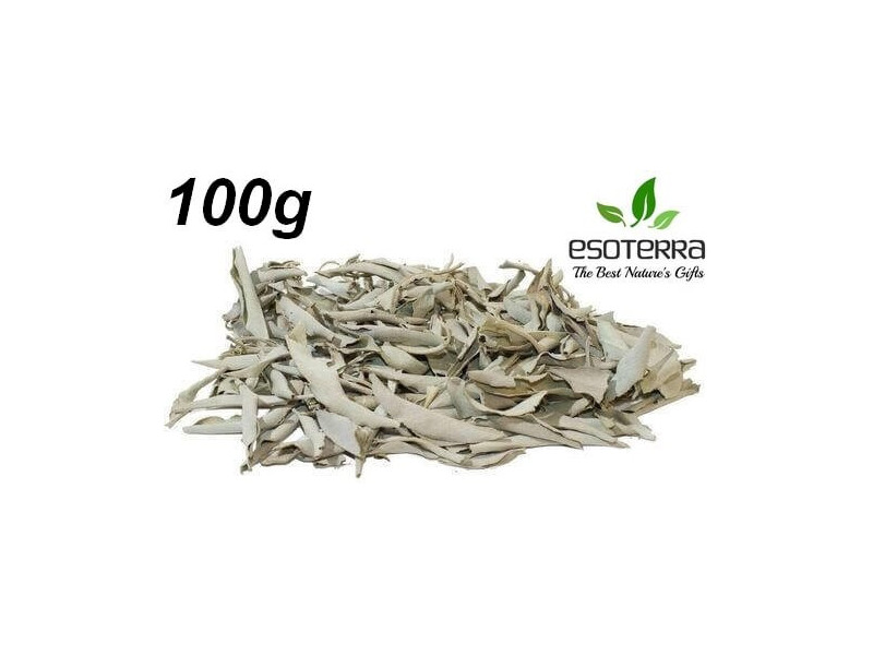 Sauge Blanche Californie 100G Pas Cher - Paiement Sécurisé