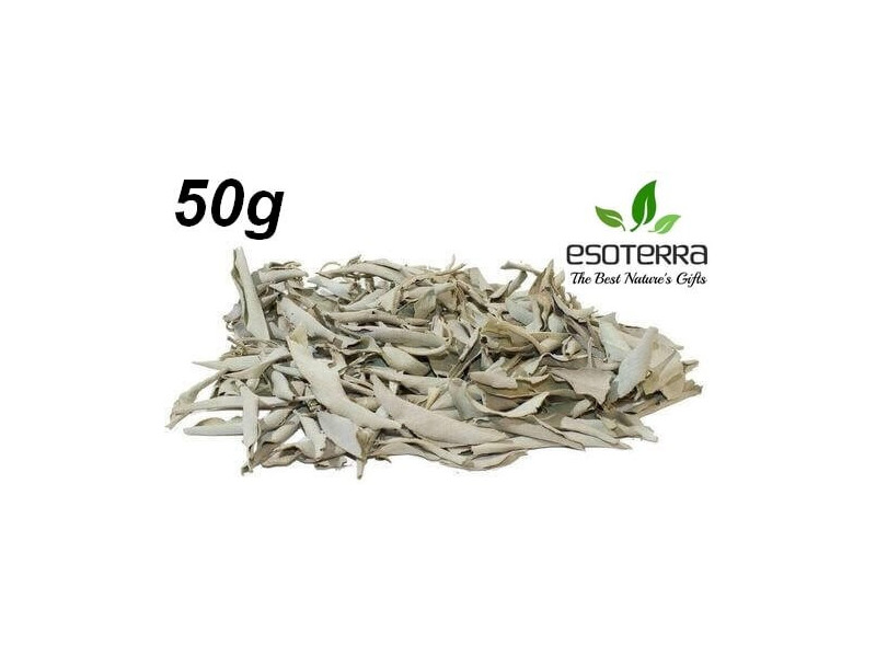 Sauge Blanche Californie 50G Pas Cher - Paiement Sécurisé