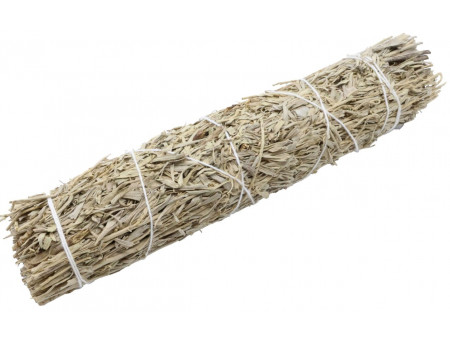 Sauge Bleue Californie 22cm Pas Cher - Paiement Sécurisé