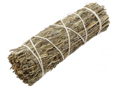 Sauge du Désert 10cm Pas Cher - Paiement Sécurisé