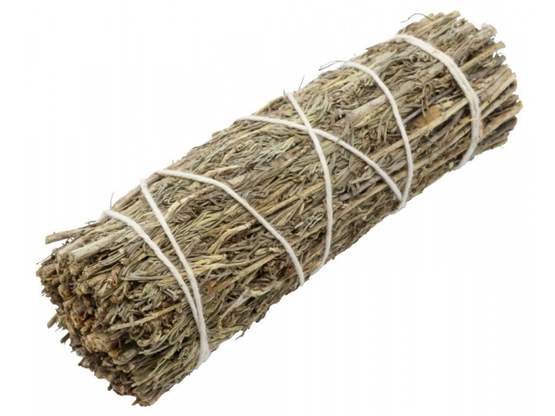 Sauge du Désert 10cm Pas Cher - Paiement Sécurisé