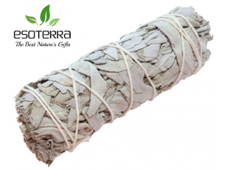 Sauge Blanche Apiana 11cm Pas Cher - Paiement Sécurisé