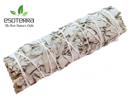 Sauge Blanche Apiana 15cm Pas Cher - Paiement Sécurisé