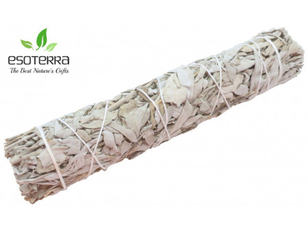 Sauge Blanche Apiana 21cm Pas Cher - Paiement Sécurisé