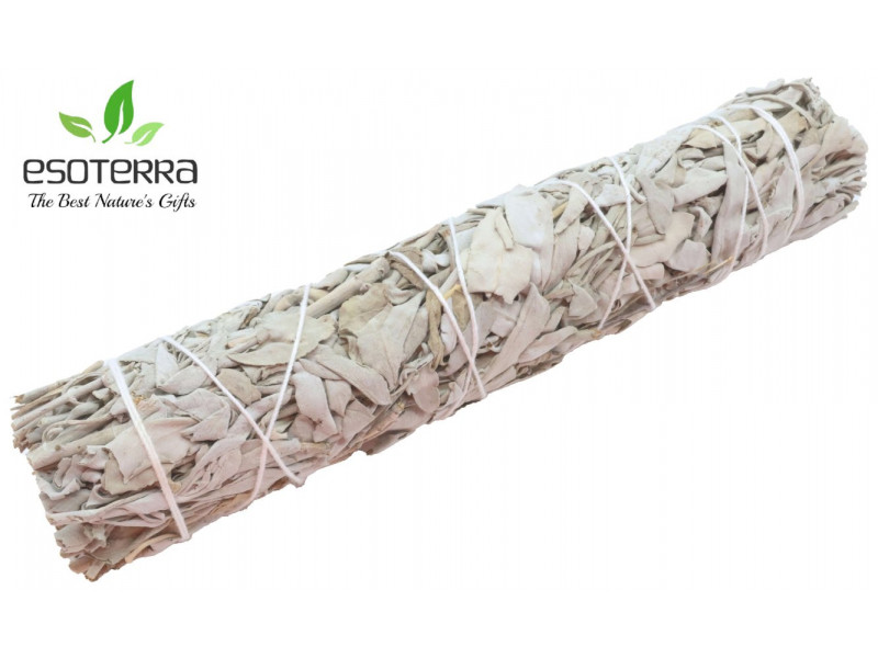 Sauge Blanche Apiana 21cm Pas Cher - Paiement Sécurisé