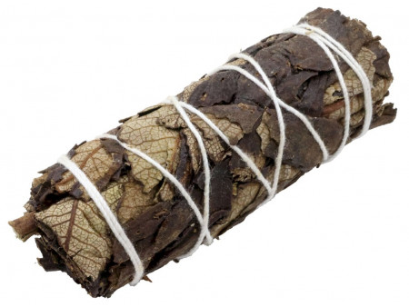 Sauge Noire Armoise 11cm Pas Cher - Paiement Sécurisé