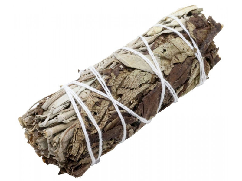 Sauge Noire Armoise & Sauge Blanche 11cm Pas Cher