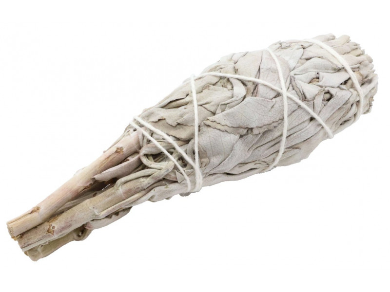 Sauge Blanche Californie Torche Pas Cher