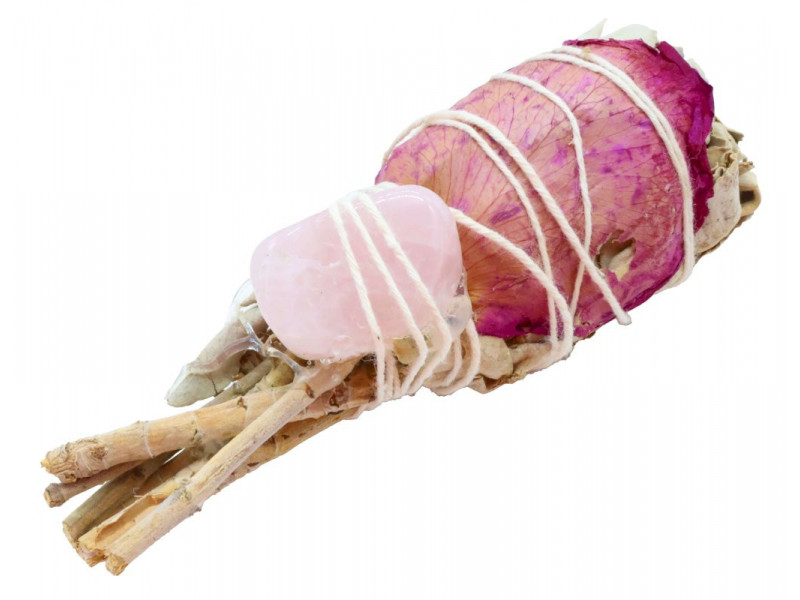 Sauge Blanche Californie Torche Love Spirit Pas Cher