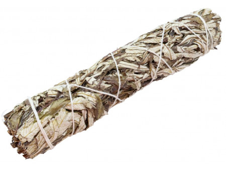 Sauge Yerba Santa 22cm Pas Cher | Pierre & Beaute