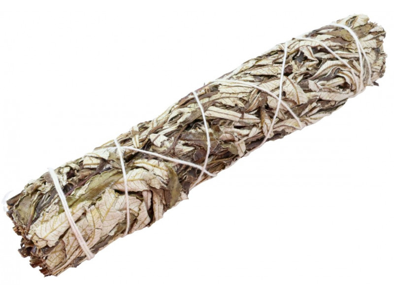 Sauge Yerba Santa 22cm Pas Cher | Pierre & Beaute