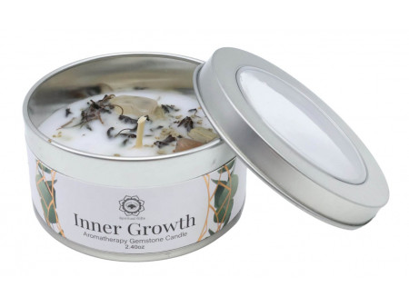 Bougie Croissance intérieure Pierre de Lune & Menthe Pas Cher