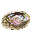 Accessoires Fumigation